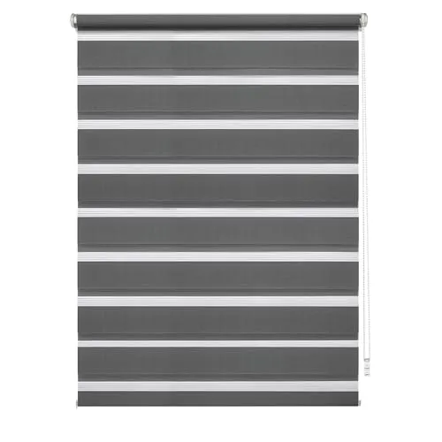 GARDINIA EASYFIX Doppelrollo 100 x 150 cm - Seitenzug- & Springrollos, stufenlos verstellbar mit transparenten und blickdichten Streifen für individuellen Lichtschutz, einfache Montage ohne Bohren dank Klemmträgern.