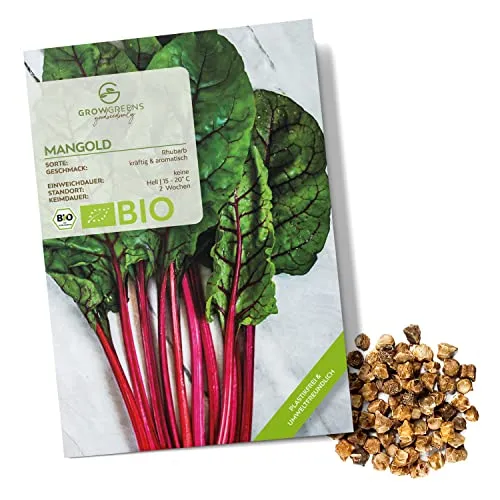 BIO Mangold Samen (Rhubarb, 25 Korn) - Mangold Saatgut aus biologischem Anbau ideal für die Anzucht im Garten, Balkon oder Terrasse
