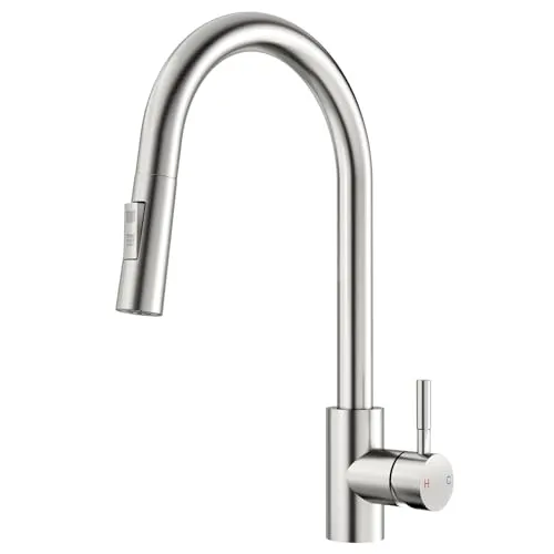 Rainsworth Wasserhahn Küche mit Brause Ausziehbar