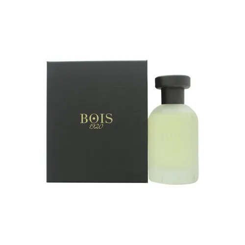 Bois 1920 Vetiver Ambrato EDP Spray 100ml - Eau de Parfum mit maskulinem Charakter, vereint frische Zitrusnoten und warme Amber-Basis für einen langanhaltenden Eindruck – ideal für stilvolle Männer und Frauen.