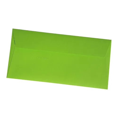 grüne DIN Lang Briefumschläge Maigrün Pollen Clairefontaine Minze DL farbig 10
