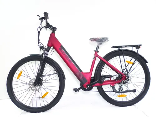 Zoll E-Bike Damenfahrrad 29 Zoll 250W Rot von RV-Racing