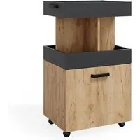 Vicco Barschrank Kamber, Goldkraft Eiche/Anthrazit - Moderne Barschränke mit 1 Scharniertür und Ablage, ideal für stilvolle Wohnräume. Maße: 50 x 89 cm, hochwertiges Design in Goldkraft Eiche und Anthrazit.