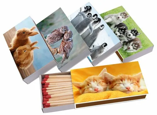 XL Streichhölzer 250 Stück - Tiere 5 Packungen á 50 Zündhölzer 10 cm Hund Katze