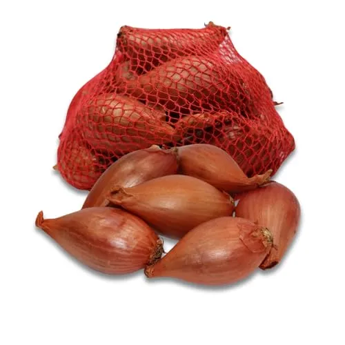 Pflanzschalotte Longor 250g direkt aus der Bretange (Schalotte Longor)