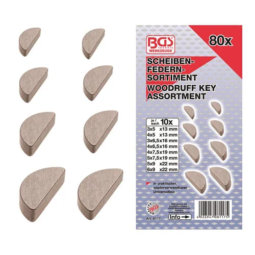 BGS-8117 Federkeile-Sortiment 80-tlg.
