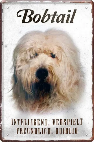 WOGEKA ART Metallbild Hunde-Rassen Steckbrief 20 x 30 cm Blechschild Haustier Hund Deko, Bobtail