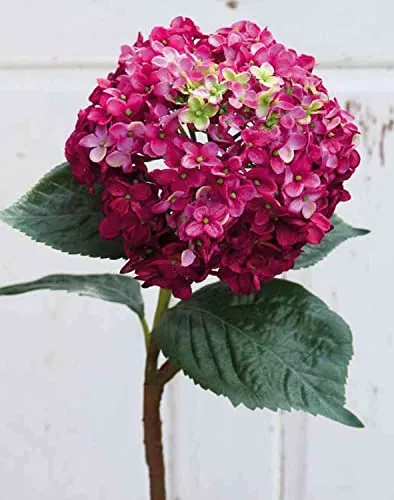 artplants.de Künstliche Hortensie Emilie, pink-grün, 60cm - Kunstblume für kreative Dekoration - Künstliche Hortensie mit einer Gesamtlänge von 60 cm, ideal für kreative Arrangements. Perfekt für eine dauerhafte und pflegeleichte Dekoration in jedem Raum.