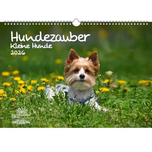 Hundezauber Kleine Hunde DIN A3 Kalender für 2026 Welpen und kleine Hunde - Seelenzauber