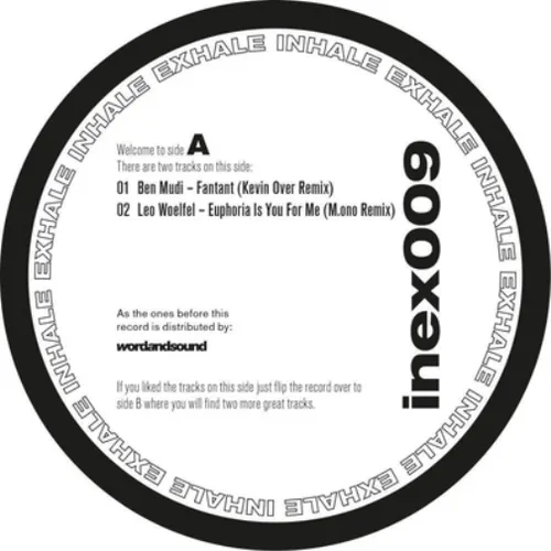 Various Artists INEX009 (Vinyl) 12