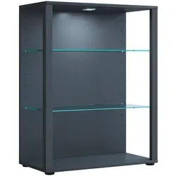 Vitrine Glasol, grau, 70x90 cm - Vitrine in modernem Design mit 2 variablen Böden, ideal für stilvolle Präsentation. Perfekt für jedes Zuhause in der Kategorie Vitrinen.