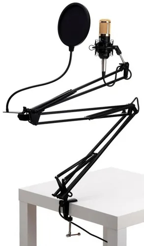 Pronomic Mikrofon CM-100 Studio Großmembranmikrofon - Professionelles Kondensator-Mikrofon für Gesangs- und Instrumentenabnahme mit rauschfreiem, warmem Klang und robuster Bauweise, ideal für Studio, Podcast und Radioproduktion.