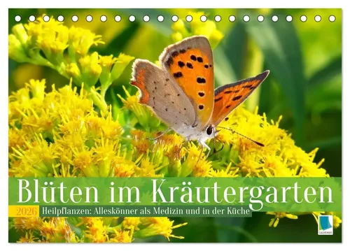 Calvendo Calvendo | Blüten im Kräutergarten (Tischkalender 2026 DIN A5 quer),...