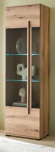 Furn.Design Standvitrine Design-D mit LED-Beleuchtung - Moderne Vitrine 