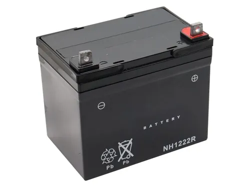 Batterie 12V 22Ah (+ Pol Rechts) passend für MTD RH 125/92 13D1452E400 Rasentrak