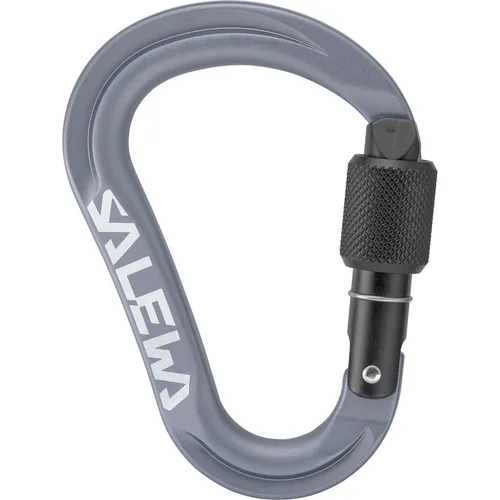 Salewa Ortles HMS S Karabiner (Größe One Size, grau)