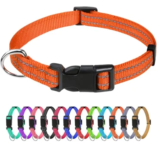 TagME Nylon Hundehalsband, Verstellbares Reflektierendes Hundehalsband mit Sicherheitsschnalle für Welpen, Orange, 1.0cm Breite