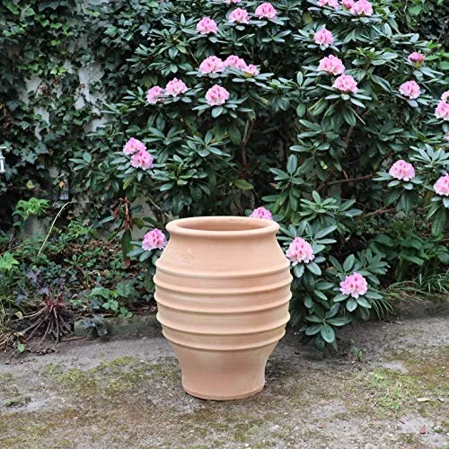 Palatina Werkstatt Exklusive Terracotta Amphore Agave 50cm - 100% Handgefertigtes Unikat - Winterfeste Amphore für Garten & Haus