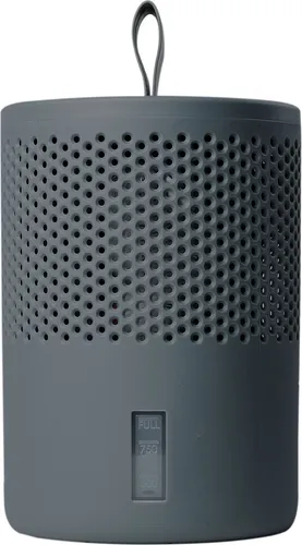 Luftentfeuchter Absodry duo Family grau in grau von Everbrand Sweden AB