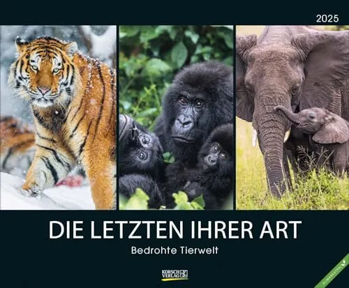 Bedrohte Tierwelt 2025: Großer Wandkalender mit spektakulären Naturaufnahmen. PhotoArt Kalender. Querformat: 55 x 45,5 cm