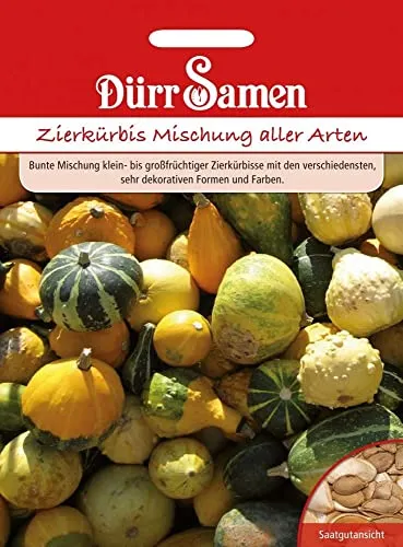 Zierkürbis Samen Mischung Zierkürbissamen Bunte Kürbise Kürbis Deko ca 40 Korn Saatgut Garten Hochbeet Kübel Dürr Samen