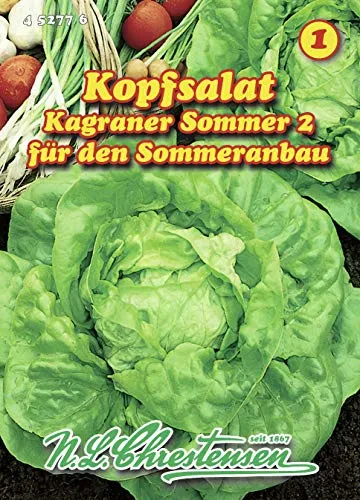 Kopfsalat