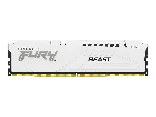FURY Beast DDR5-6400