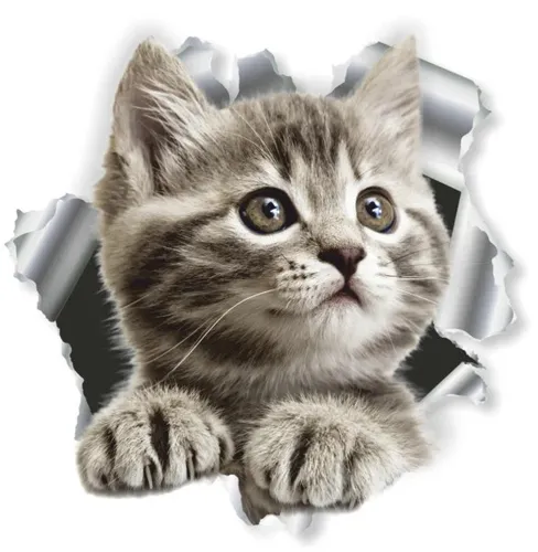 Hermann Schütz Aufkleber Einschussloch Katze  Aufkleber