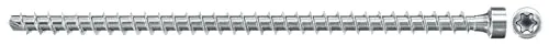 Fischer PowerFull II 10,0x400 ZK TX VG blvz - 25 Stück - Dübel für hohe Haltewerte, ideal für schwere Lasten in Beton und Mauerwerk, 25 Stück im praktischen Pack.