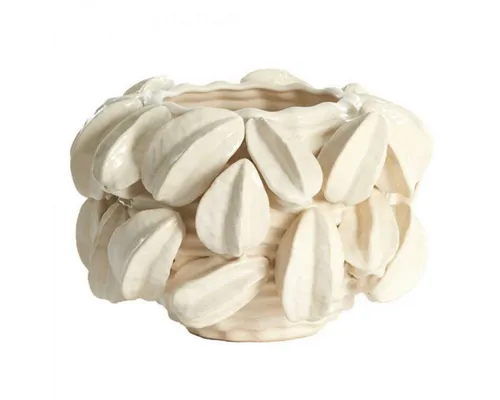 Light & Living Dekovase Carambola Sternfrucht Beige (23cm) - Stilvolle Dekovase für kreative Arrangements. Ideal als Blickfang in jedem Raum. Die beige Farbe harmoniert perfekt mit verschiedenen Einrichtungsstilen.