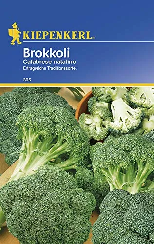 Kiepenkerl 395 Brokkoli Calabrese natalino (Brokkolisamen)