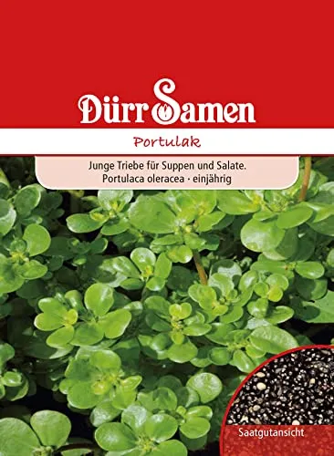 Dürr-Samen - Portulak Saatgut