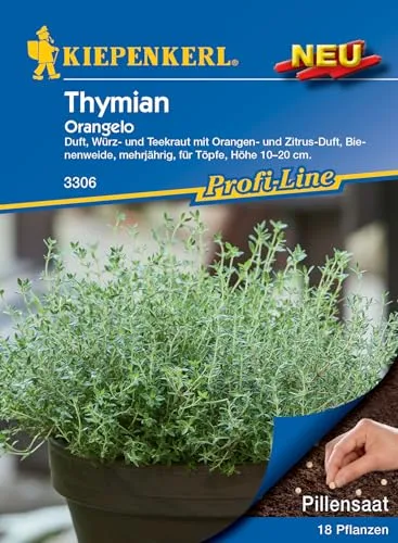 Kiepenkerl Profi-Line Thymiansamen Orangelo, Pillensaat 3306 - Duft, Würz- und Teekraut - Höhe 10 bis 20 cm - Kräutersamen, Samen Kräuter, Kräuterpflanzen