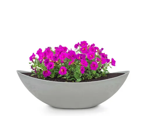 matches21 HOME & HOBBY Blumentopf Große ovale Pflanzschale Jardiniere 55 cm in Stein-Optik hell-grau (1 St), Outdoor Schiff Deko-Schale als Blumen-Schale Pflanz-Topf Grab-Schmuck