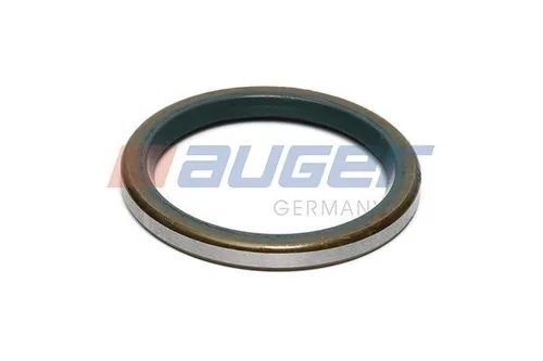 Auger Wellendichtring, Bremsnockenwelle 54871
