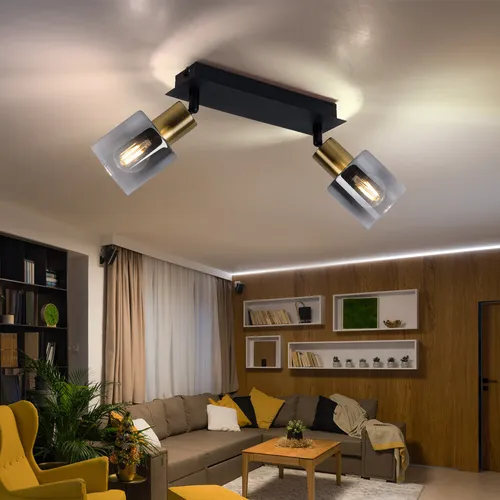 Schwenkbare Deckenleuchte 2 Flammig in Rauchfarben und Gold - Moderne Deckenlampe in elegantem Design mit 2 E14 Fassungen, schwenkbaren Spots und glamourösem rauchfarbenem Glas. Perfekt für stilvolle Beleuchtung in jedem Raum.