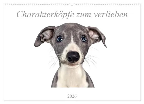 CALVENDO Wandkalender Charakterköpfe zum verlieben (Wandkalender 2026 DIN A2 quer), CALVENDO