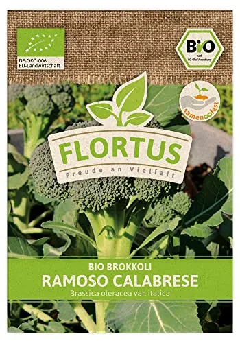 FLORTUS BIO Brokkoli Ramoso Calabrese | Gemüsesamen | Kohlsamen | Brokkolisamen | Samen zur Anzucht für Garten, Balkon, Küche & Fensterbank