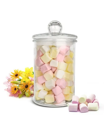 Sendez Vorratsglas 3L Vorratsgefäß Glasbehälter Aufbewahrungsglas Bonboniere Keksdose, Glas