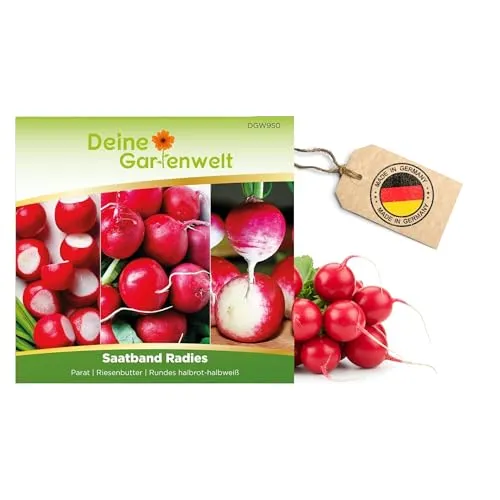 Saatband Radies 5 m mit 3 Sorten: Parat, Riesenbutter und Rundes halbrot-halbweiß Samen - Raphanus sativus - Radiessamen - Gemüsesamen - Saatgut