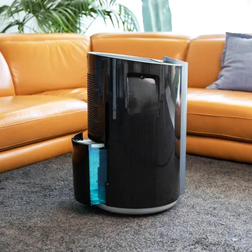 Cecotec BigDry 9000 Professional Luftentfeuchter in schwarz von Cecotec