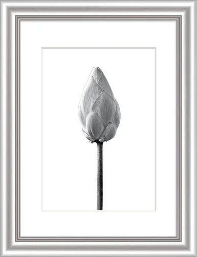 Bilderrahmen ELEGANCE silber BH 46x36 cm silber Fotorahmen