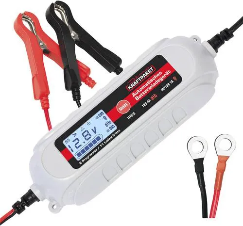 Dino KRAFTPAKET 136312 Automatikladegerät 12 V, 6 V