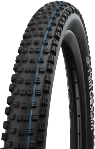 Schwalbe Wicked Will Performance 29
