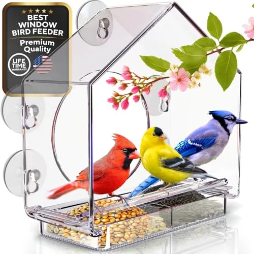 Premium Vogelfutterstation für draußen – transparentes Vogelhaus mit größtem Fenster zum Beobachten von Vögeln Stabiler Futterspender mit extra starken Saugnäpfen –