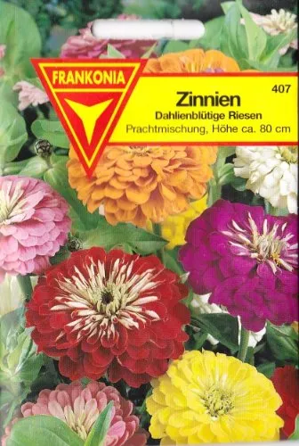 Zinnien, Dahlienblütige Riesen, Zinnia elegans, ca. 100 Samen