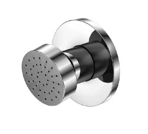 Steinberg Serie 100 Seitenbrause 1/2