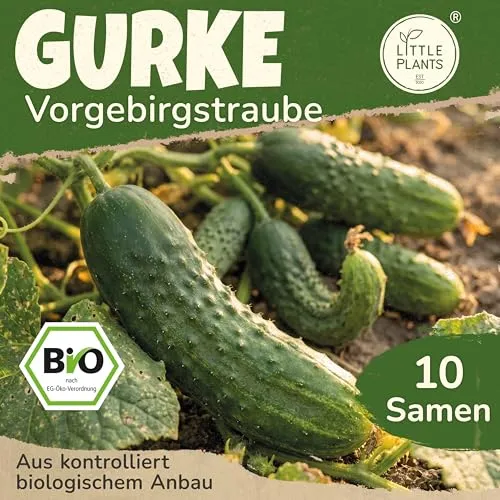 Saatgut von Little Plants