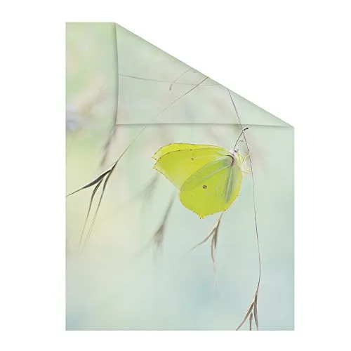 LICHTBLICK ORIGINAL Fensterfolie Schmetterling Grün – Blickdicht und Selbstklebend - Fensterfolie für effektiven Sichtschutz und stilvolle Dekoration, mit einfacher Montage und brillantem Digitaldruck.