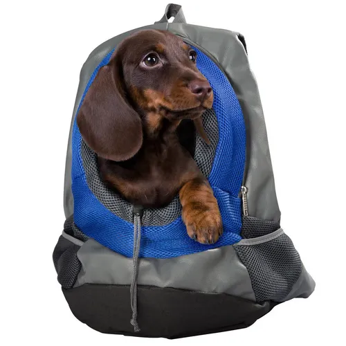 Hunde-Rucksack blau/grau